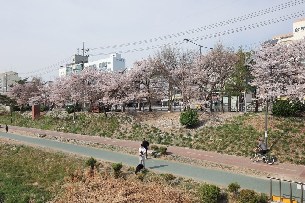 불광천 러닝 코스