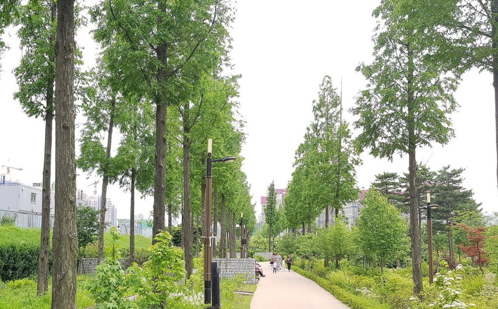 푸른수목원 러닝 코스