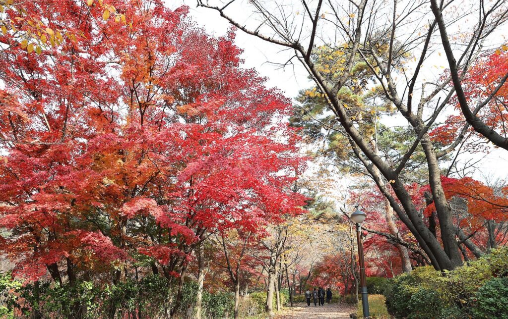 삼청공원 순환산책길