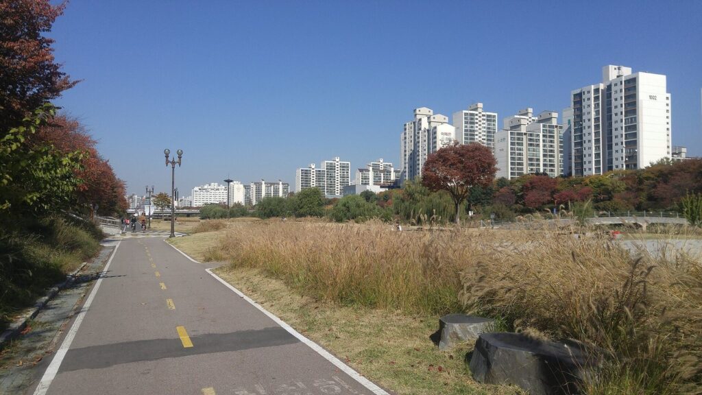 탄천 정자역~한강 22km (분당 → 잠실 탄천길)